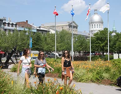 ILSC - Montreal 蒙特婁語言學校分校